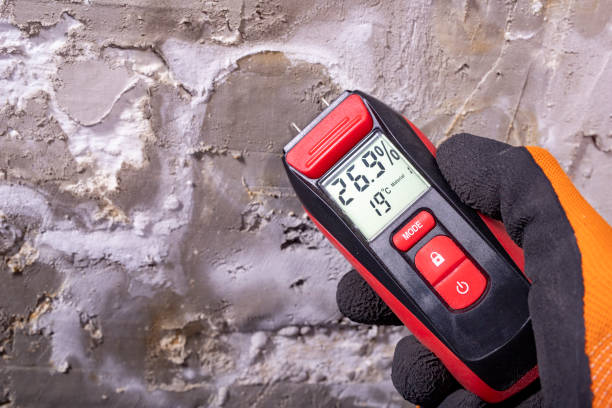 Best Residential Mold Removal  in La Harpe, IL