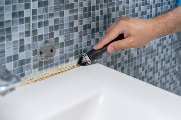 Best Fast Mold Removal  in La Harpe, IL