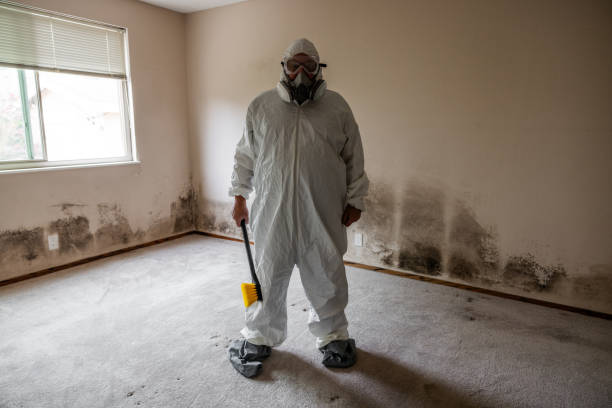 Water Damage Restoration in La Harpe, IL